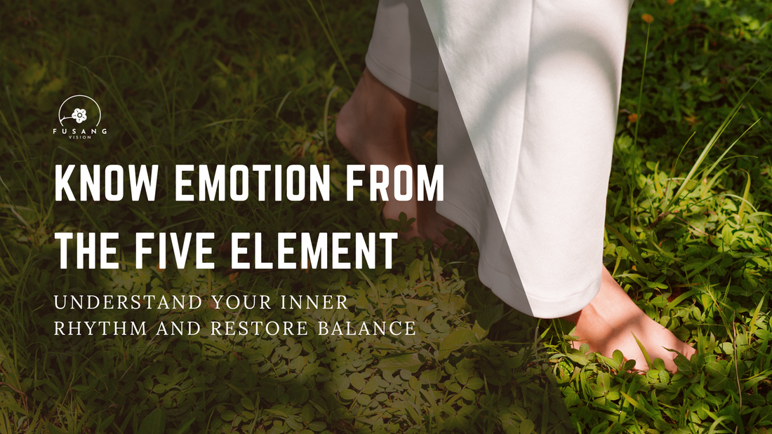 Five Element Emotional Map: A Journey from Chaos to Inner Balance