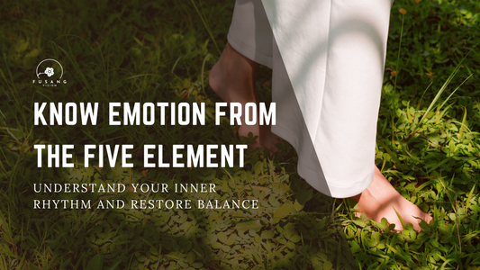 Five Element Emotional Map: A Journey from Chaos to Inner Balance