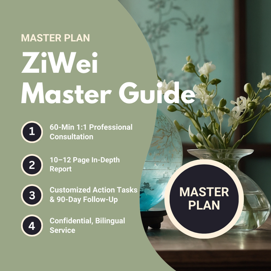 Zi Wei Master Guide – Premium Zi Wei Astrology Consultation for Major Life Decisions